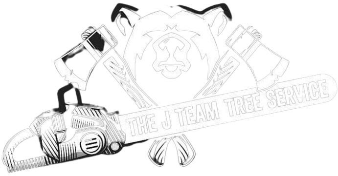 The J Team Tree Service