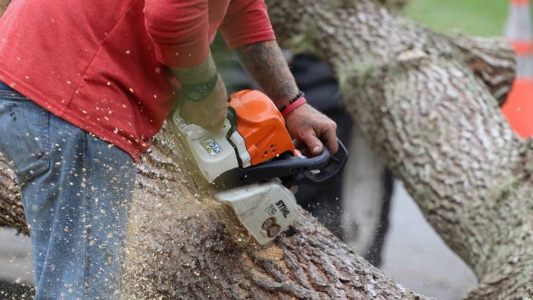 Tree Trimming Services in Houston, TX by The J Team Tree Service