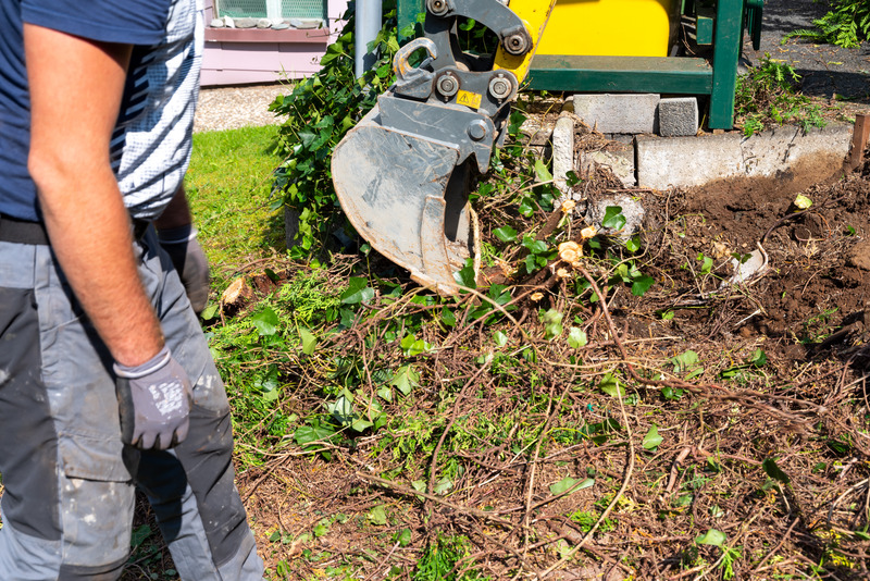 Stump Removal Services in Houston TX: Enhancing Your Outdoor Space